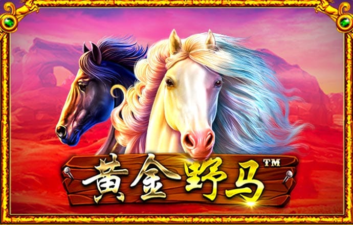 ng体育app官网最新版本